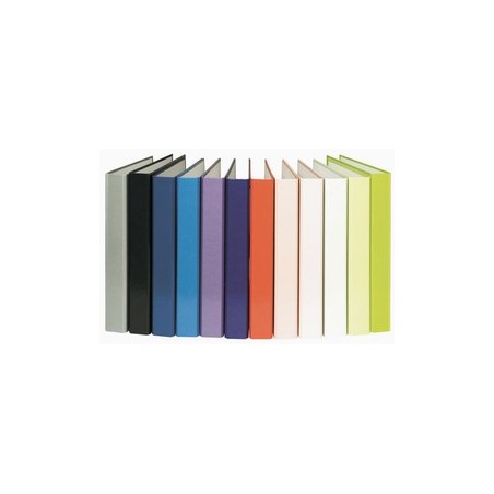 Segregator Bantex A4/2ringi jasoróż.132002